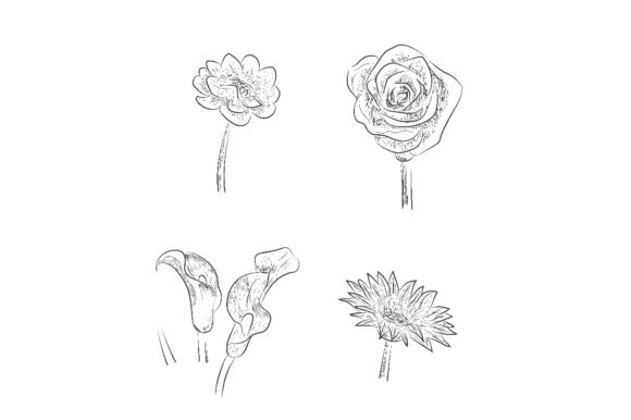 Floral Vector Spring Card Composition De Guide