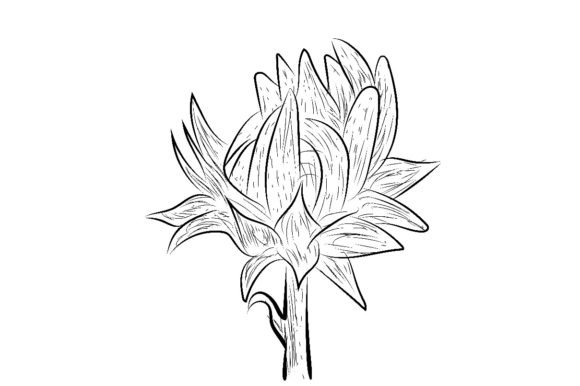 Floral Vector Spring Card Composition Guide