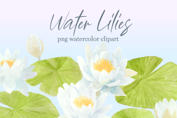 Water Lily Floral Watercolor Clipart Set: Elevating Your Digital and Print Designs